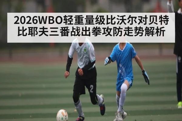2026WBO轻重量级比沃尔对贝特比耶夫三番战出拳攻防走势解析